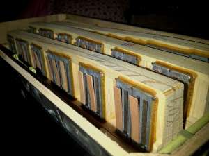 Hohner 80