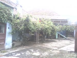 Vand casa Seica Mica