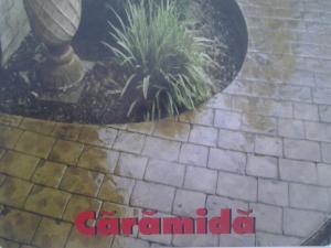 beton amprentat