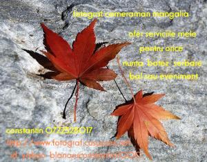 fotograf mangalia ofer servicii pt. orice eveniment