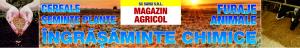 Vand Arpagic ,   Seminte Lucerna 0754437987