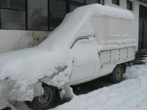 Autoutilitara DACIA
