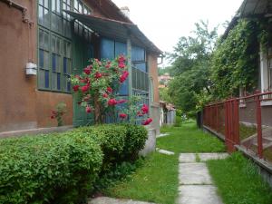 Vand casa mare cu gradina generoasa in Deva,   ultracentral. Accept schimburi
