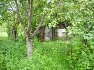Vand casa mare cu gradina generoasa in Deva,   ultracentral. Accept schimburi