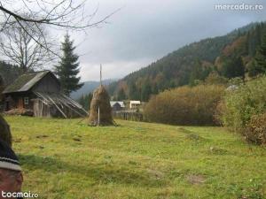 teren pt cabane schimb cu auto