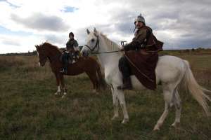 Ofer pentru monta armasar Shagy Arab( El-Sbaa XV-16)