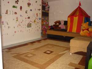 Vand casa singur curte zona Stefan cel Mare