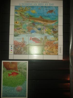 Clasor timbre straine,    fauna si flora