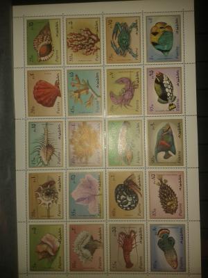 Clasor timbre straine,    fauna si flora