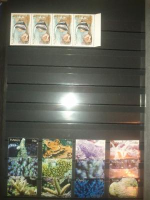 Clasor timbre straine,    fauna si flora
