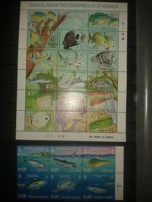 Clasor timbre straine,    fauna si flora