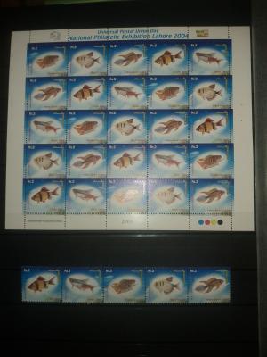 Clasor timbre straine,    fauna si flora