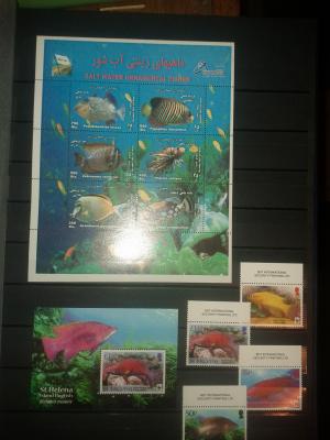 Clasor timbre straine,    fauna si flora