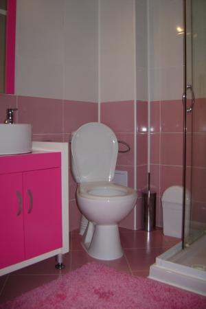 Vand casa vila duplex Balotesti Saftica