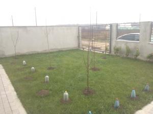 Vand casa vila duplex Balotesti Saftica