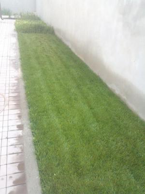 Vand casa vila duplex Balotesti Saftica