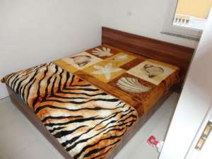 �n inima Dalmația,  pentru 2-8 persoane apartament pentru chirie.
