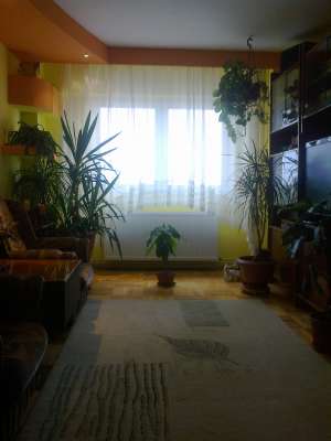 Particular vand apt. 2 cam. dec. Garii