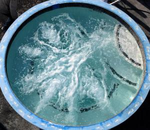 Jacuzzi SPA Lux   Rezidential