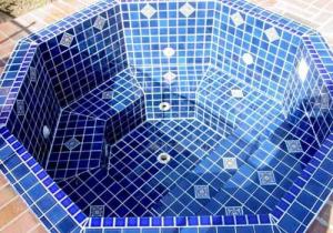 Jacuzzi SPA Lux   Rezidential