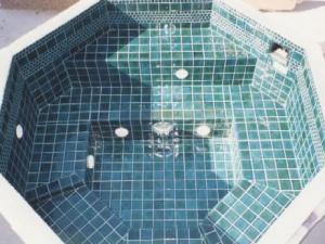 Jacuzzi SPA Lux   Rezidential