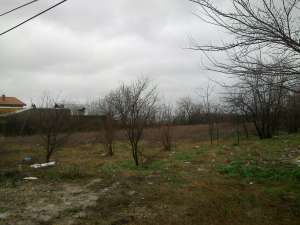 Vand teren 5250mp Magurele-Pasarela Centura Buc
