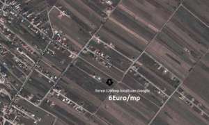 Teren intravilan 1200mp Berceni-Ilfov