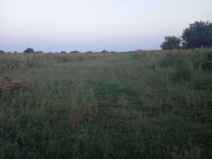 vand teren intravilan zona stradala