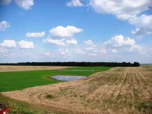 Teren intravilan cu deschidere la padure langa proiect rezidential deosebit