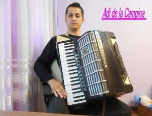 Acordeonist profesionist