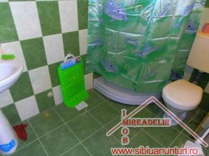 INCHIRIEZ CASA 2 CAMERE,   55 MP,   TURNISOR