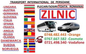 TRANSPORT PERSOANE ANGLIA
