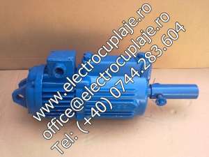 Ridicatori electrohidraulici REH 12/50, REH 20/50, REH 32/50, REH 50/50, REH 80/60, REH 125/60 REH 2