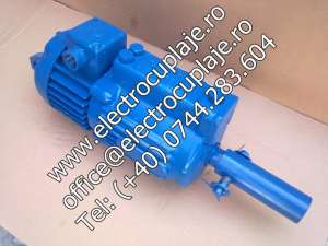 Ridicatori electrohidraulici REH 12/50, REH 20/50, REH 32/50, REH 50/50, REH 80/60, REH 125/60 REH 2