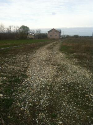 Teren de Vanzare Sat Crivina BOLINTIN VALE-JUD. GIURGIU