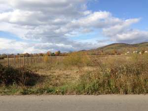 teren intravilan Banesti(central)