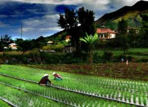 Companie romano-germana angajeaza cu experienta sau fara experienta pentru munca in agricultura( in 