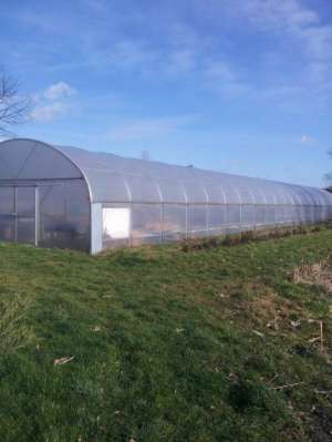 solar  import Belgia  8m/40m /3, 5m
