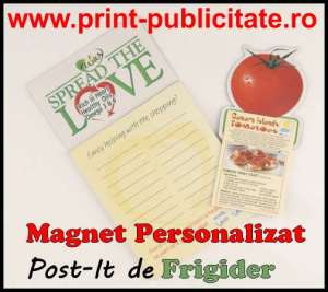Ieftin Producem Magneti personalizati