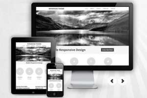 Web Design - Site-uri  Profesionale 149�