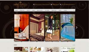 Web Design - Site-uri  Profesionale 149�