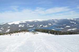 Teren Vidra - Transalpina