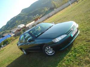 Vand Peugeot 406