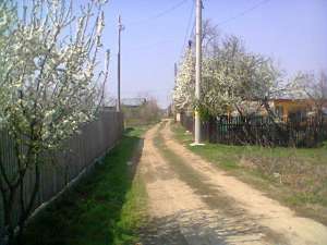 vand teren in adunatii copaceni