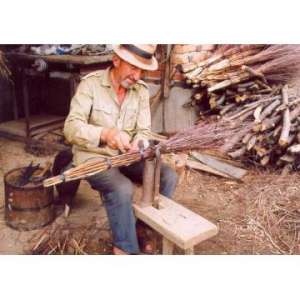 maturi nuiele,  maturi sorg,  maturi eco,  pret producator