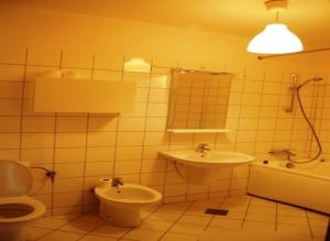 Inchiriere apartament 3 camere Central Park