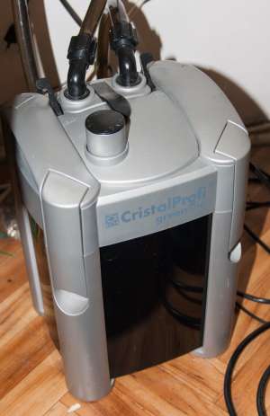 Terariu Complet cu Broaste Testoase