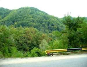 Teren Baile Olanesti intravilan (688 m2)