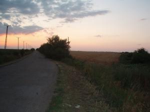 teren 22 km de timisoara