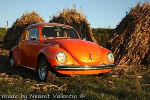Volkswagen Kafer